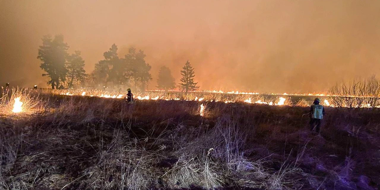 Großeinsatz bei Feuer am Tüpl Allentsteig