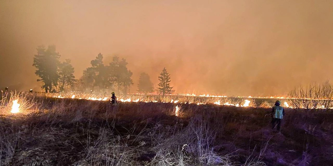 Großeinsatz bei Feuer am Tüpl Allentsteig