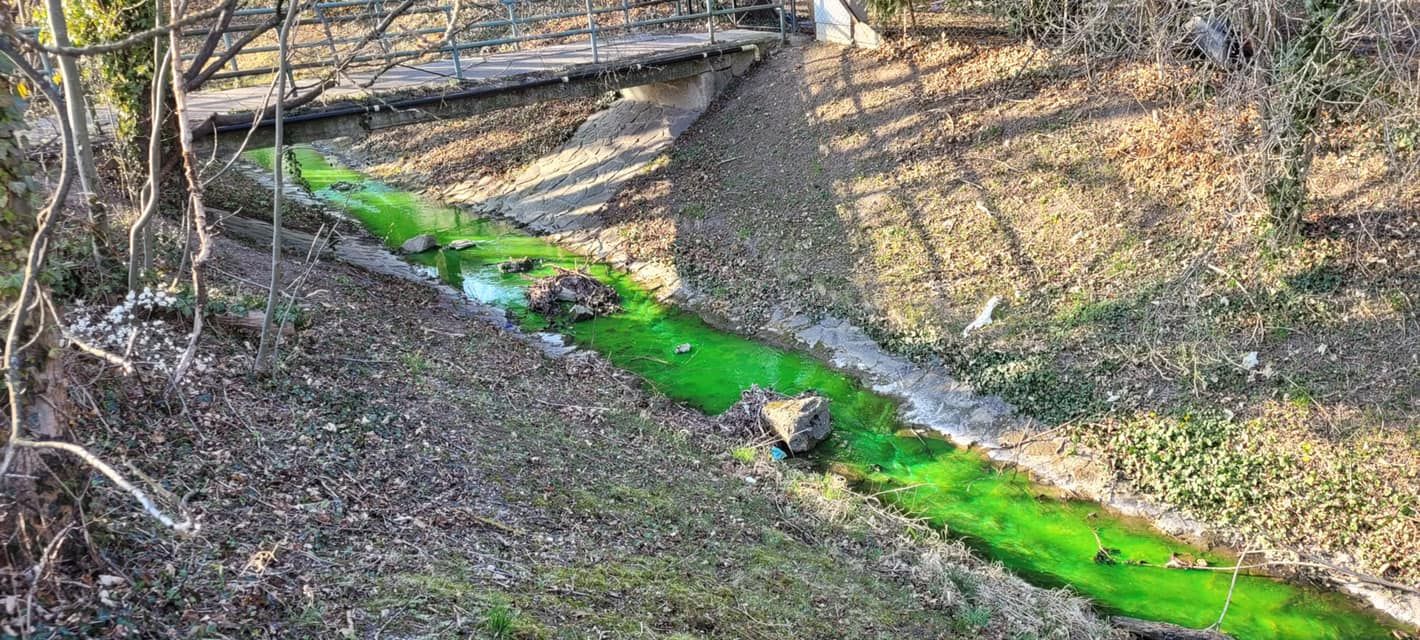 Der Bach in Perchtoldsdorf leuchtete giftgrün.
