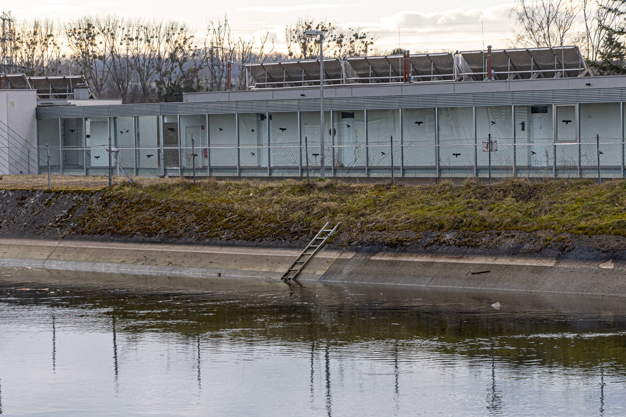 Über eine solche Leiter sind die zwei Kinder aus dem Wasser gestiegen.