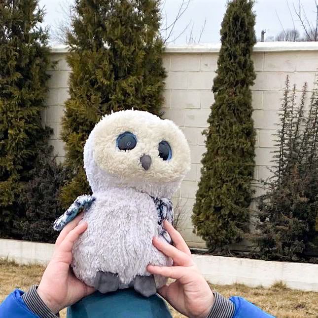 Wer hat diese Eule gesehen?