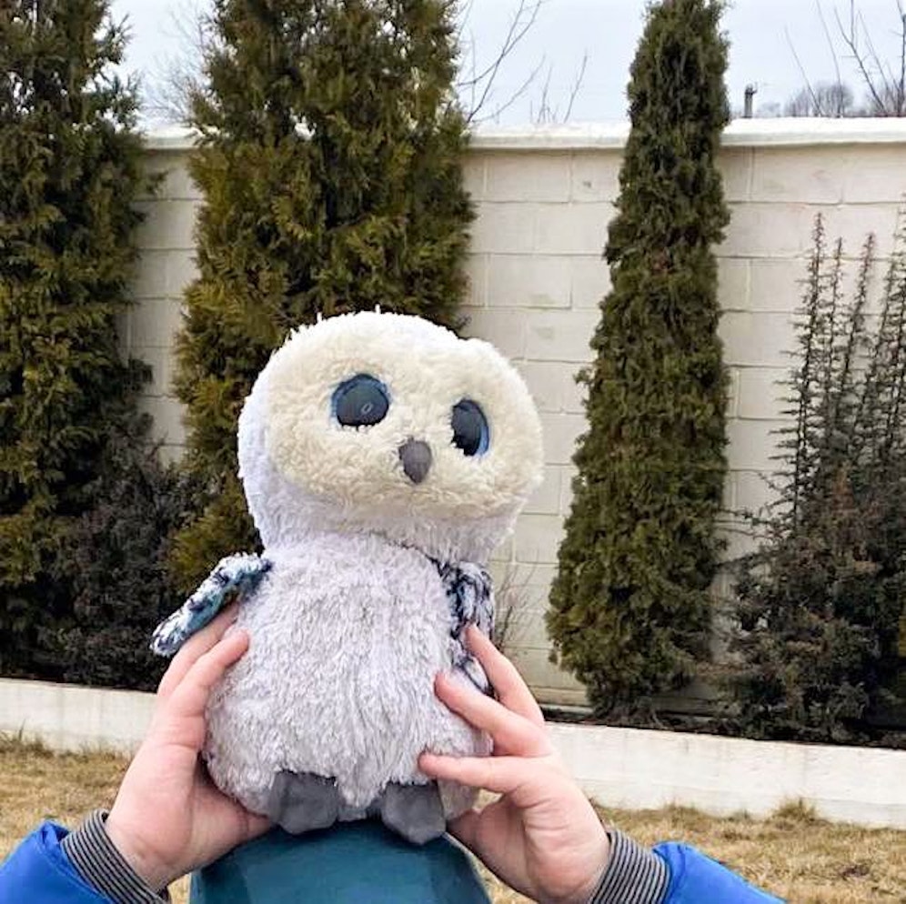 Wer hat diese Eule gesehen?