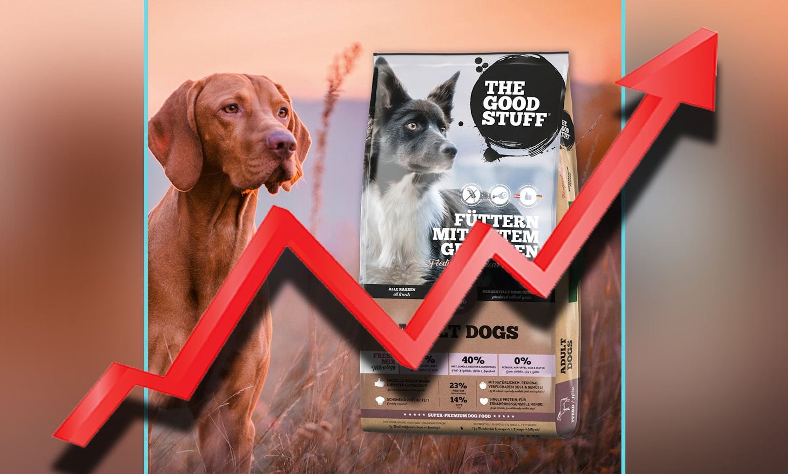 Der regionale Premium-Hundefutterhersteller "The Goodstuff" verändert die Preise vorläufig nicht.