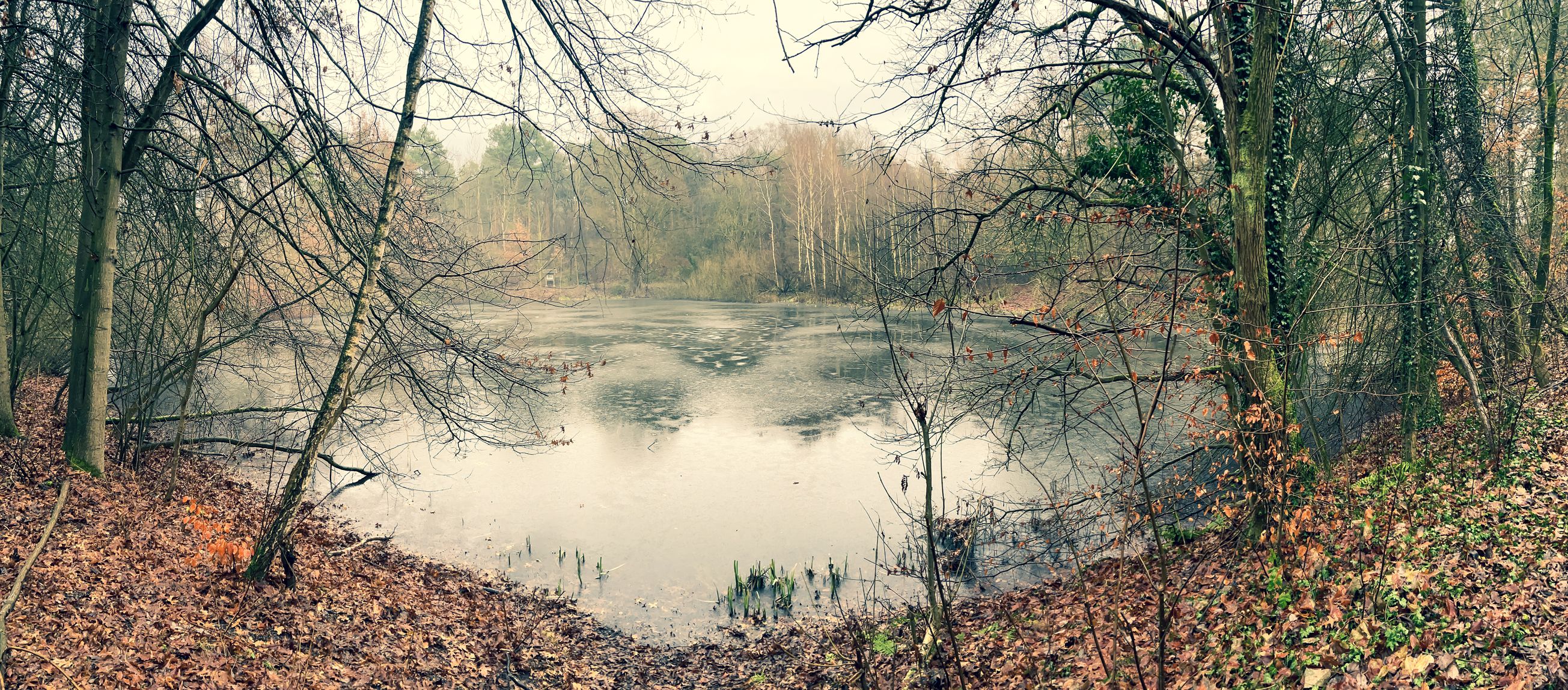 Feuerwehrleute aus Glasewitz (Rostock) sind immer noch sehr bestüzt über den Fund.