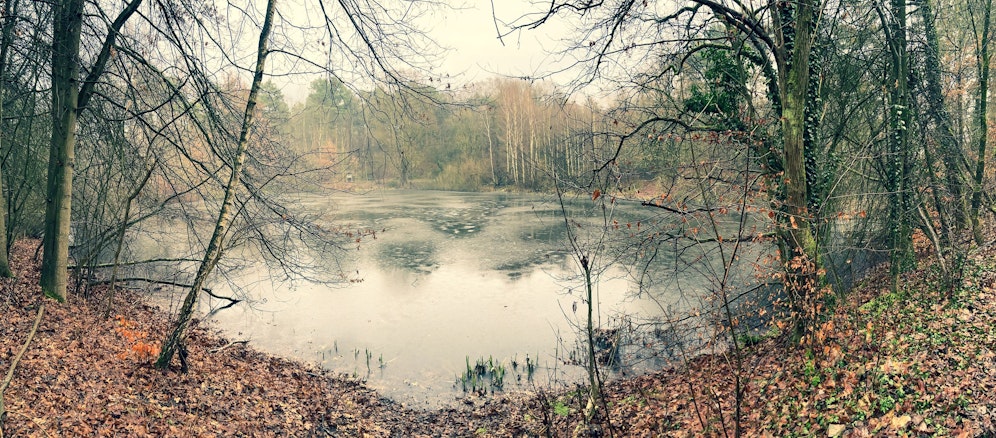 Feuerwehrleute aus Glasewitz (Rostock) sind immer noch sehr bestüzt über den Fund.
