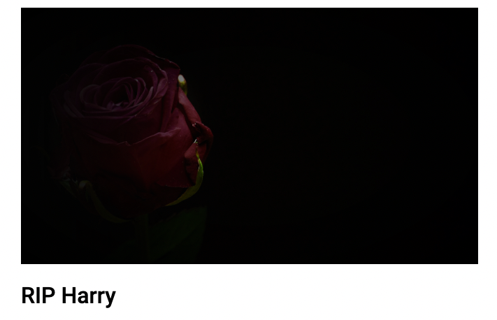 Auf einer Webseite der Schulwarte erschien ein Nachruf.