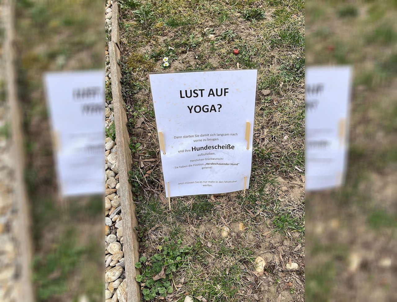 Heute.at - Lust auf Yoga? – Wut-Wiener verärgert über Hundekot