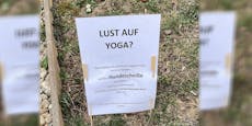 "Lust auf Yoga?" – Wut-Wiener verärgert über Hundekot