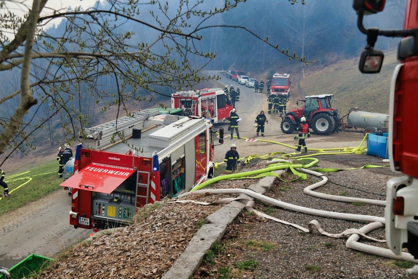 Zehn Feuerwehren aus der Umgebung waren im Einsatz.
