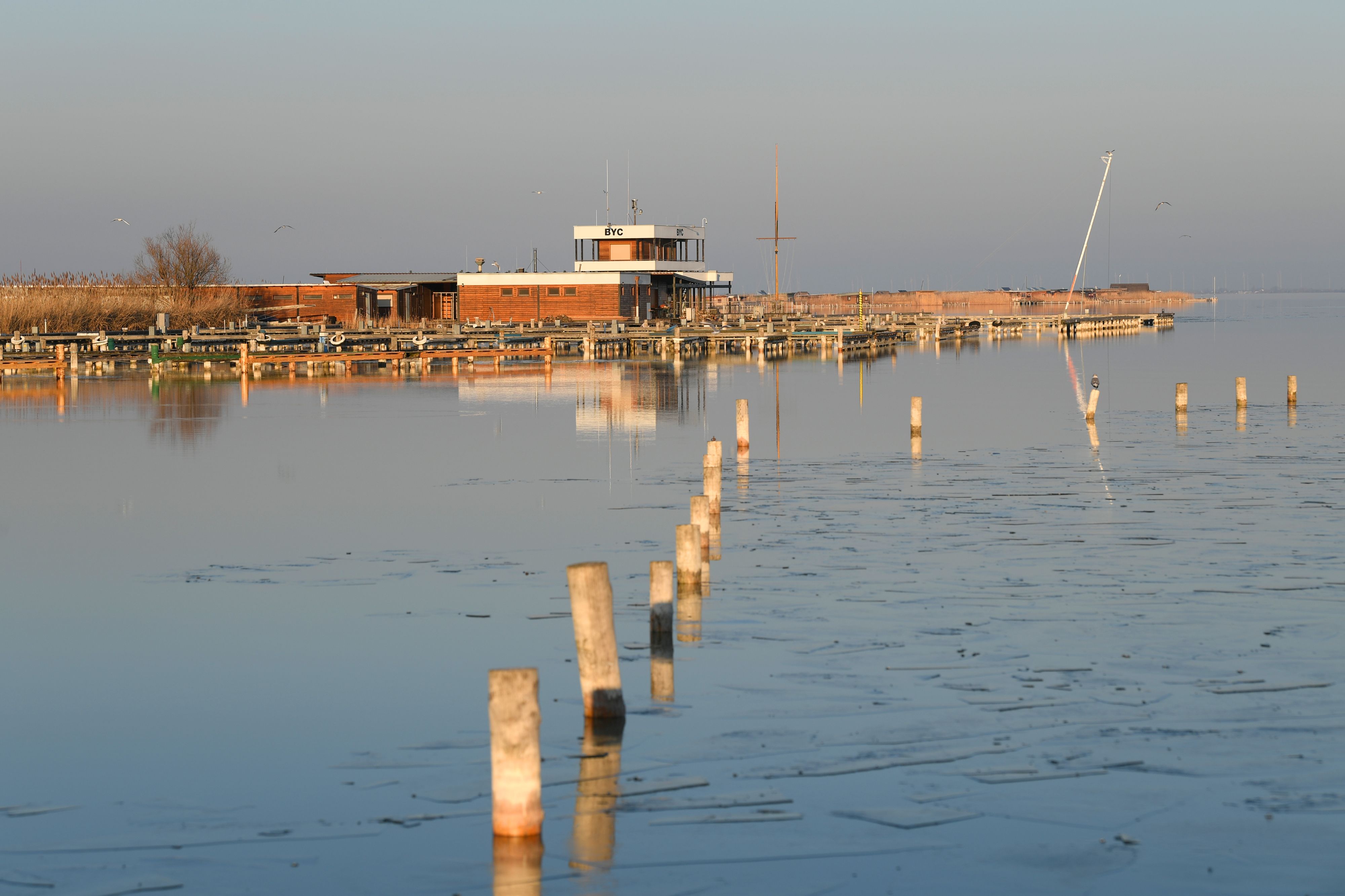 Die Ruster Bucht am Neusiedler See: Hier wurde die Leiche des Steiers gefunden. 