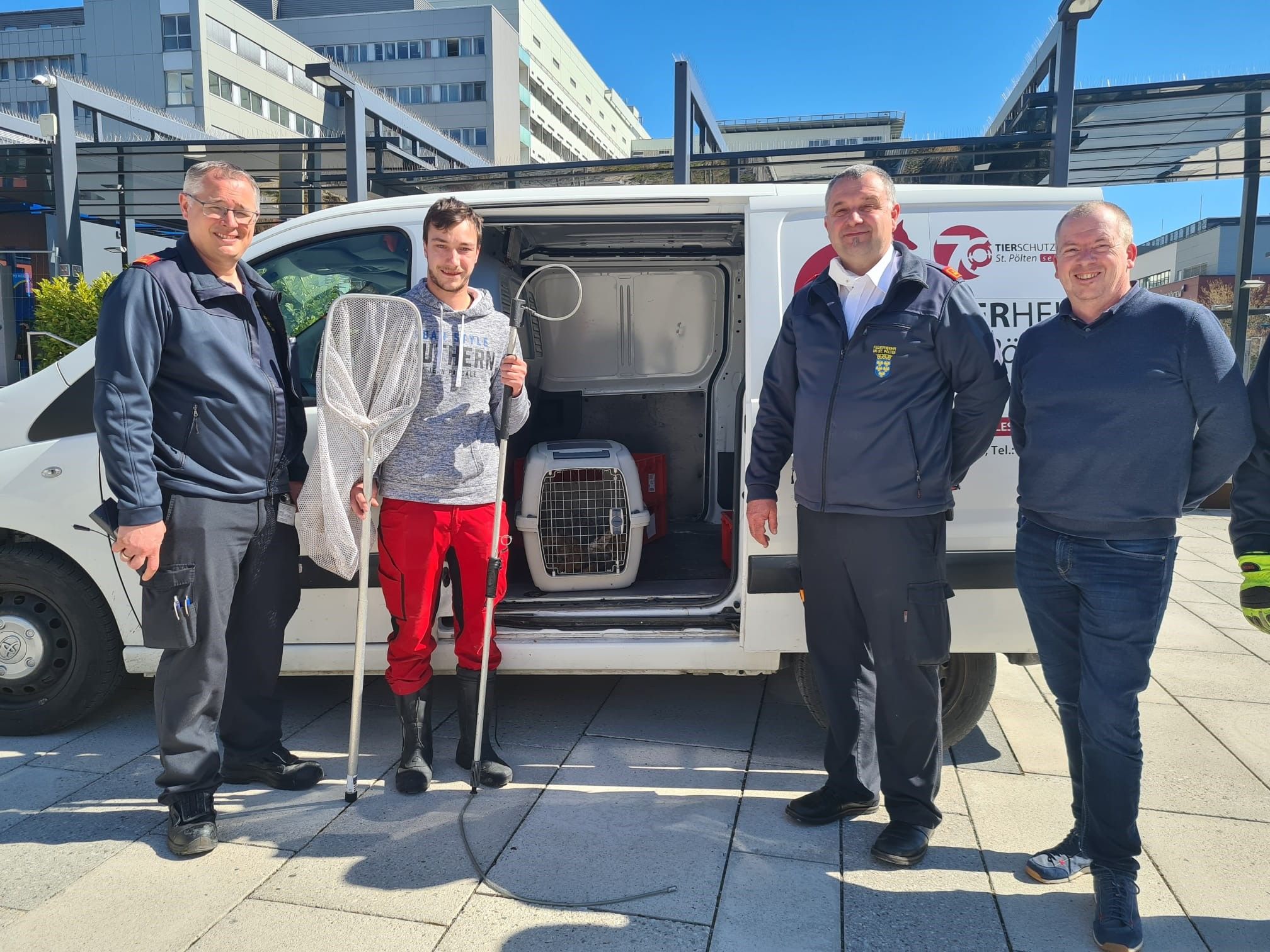 Der Tierschutzverein St. Pölten holte den Fuchs ab.