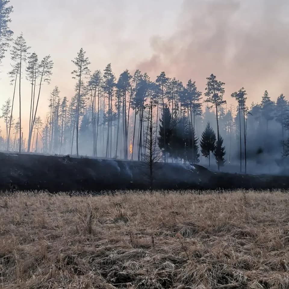 Das Feuer am Truppenübungsplatz wird jetzt von oben gelöscht.