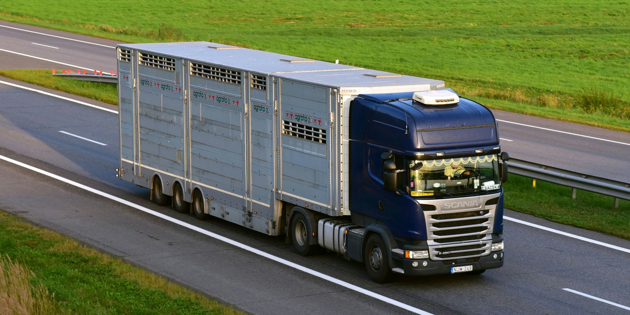 Mehrere Tier waren sofort tot oder mussten notgeschlachtet werden, andere ergriffen die Flucht.