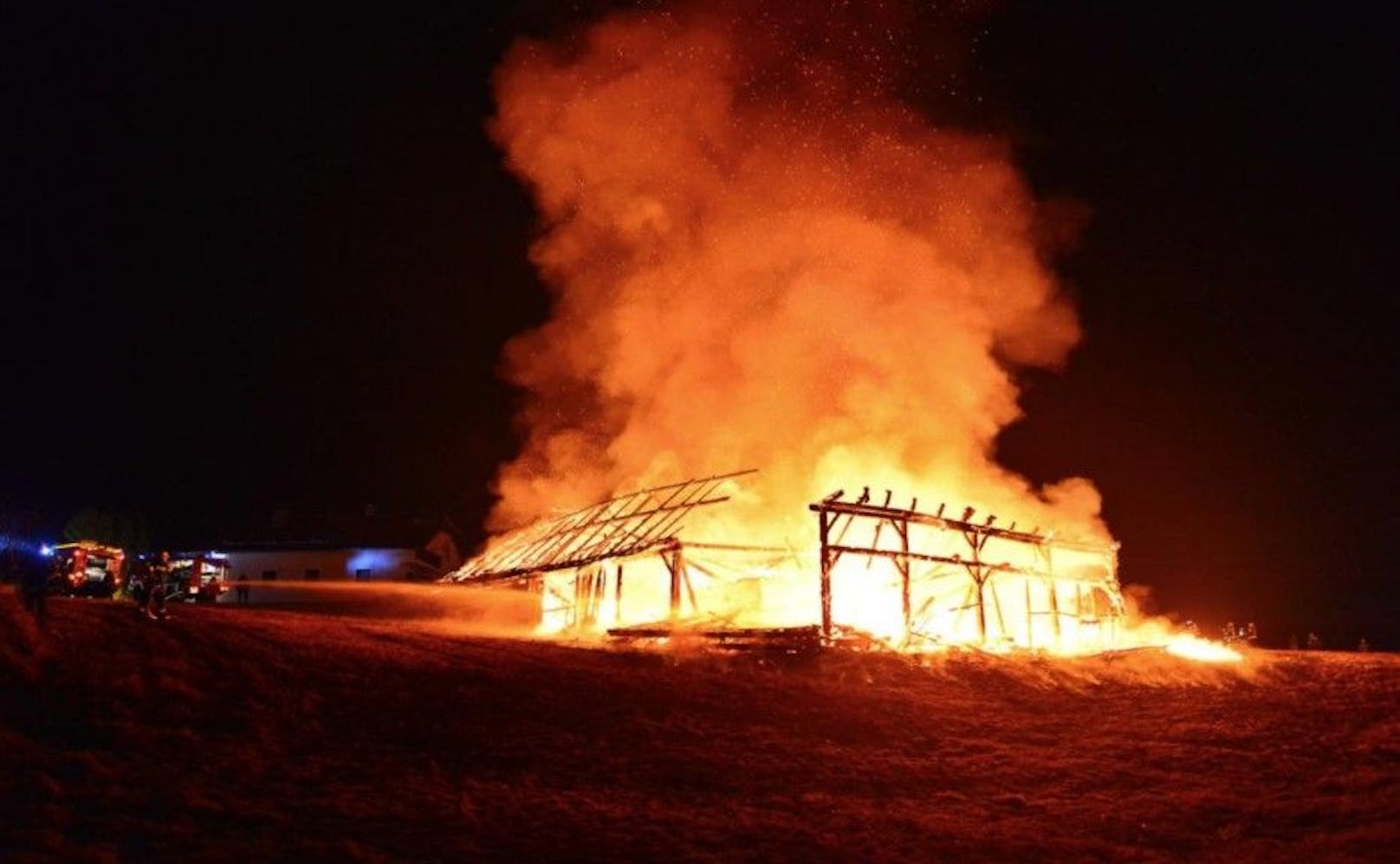 Das Bauernhaus brannte vollkommen nieder.