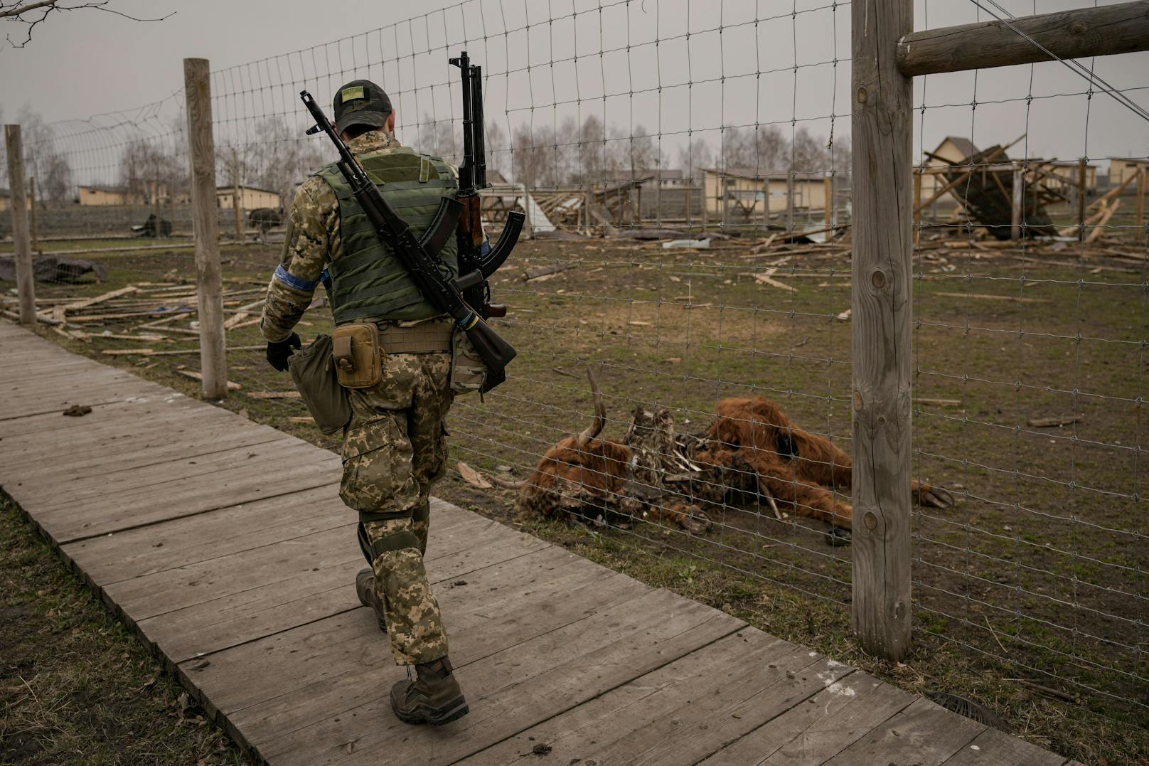 Ein ukrainischer Soldat geht an einem Tier vorbei, das während der Kämpfe in einem schwer beschädigten Privatzoo getötet wurde.