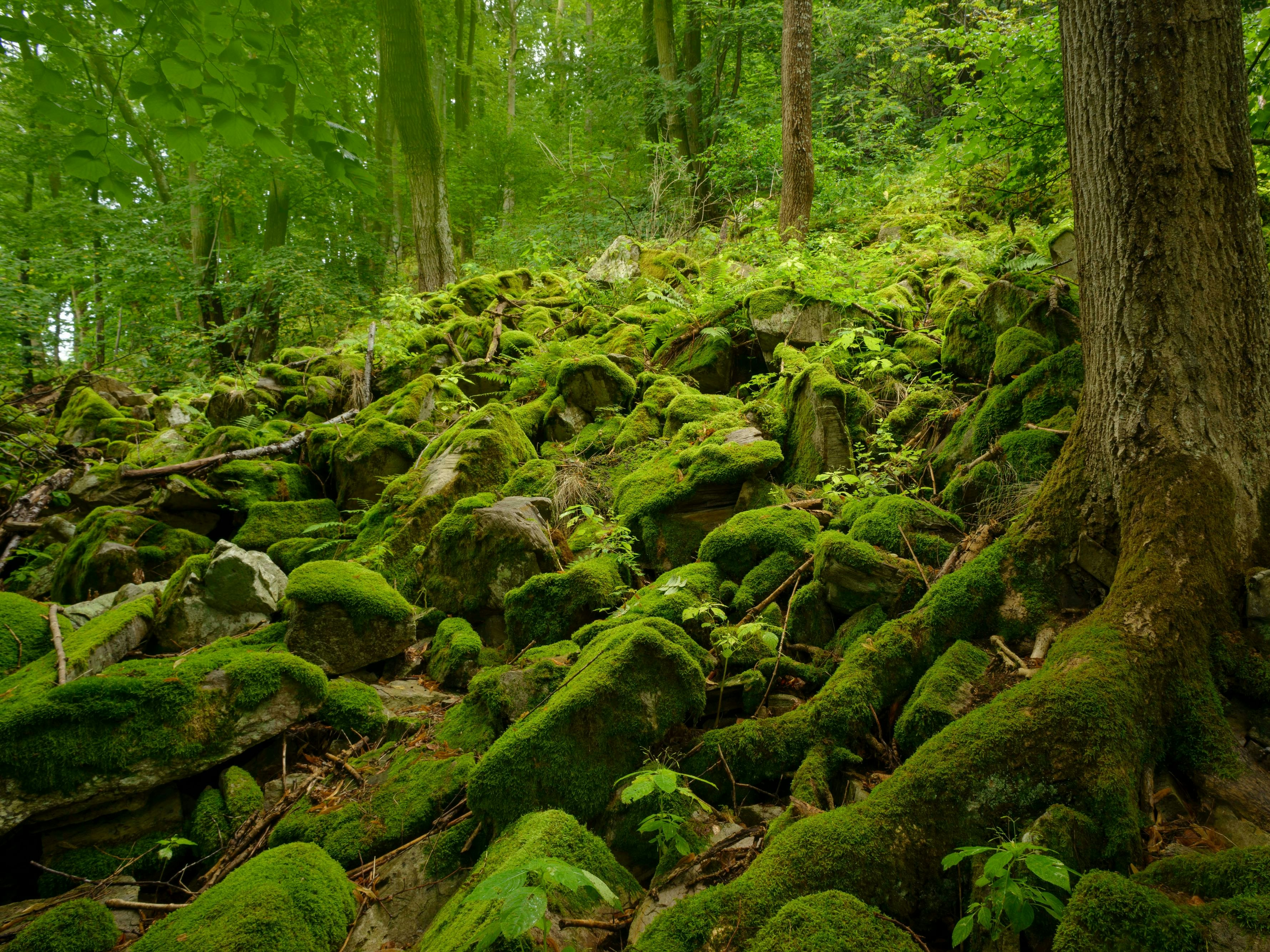 Lower Austria, Austria - January 2016: