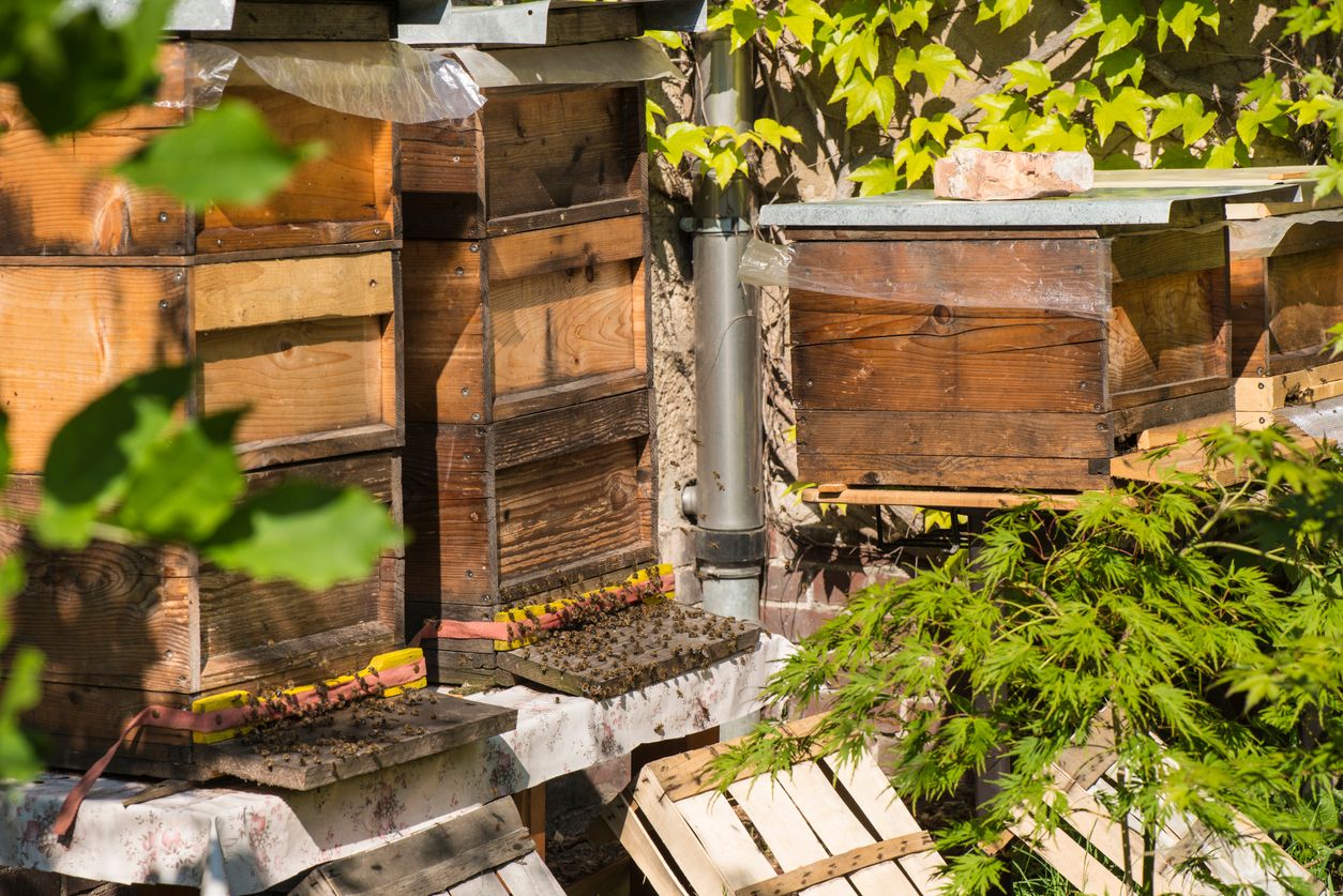 Die Täter warfen drei Holkästen mit Bienenstöcken um.