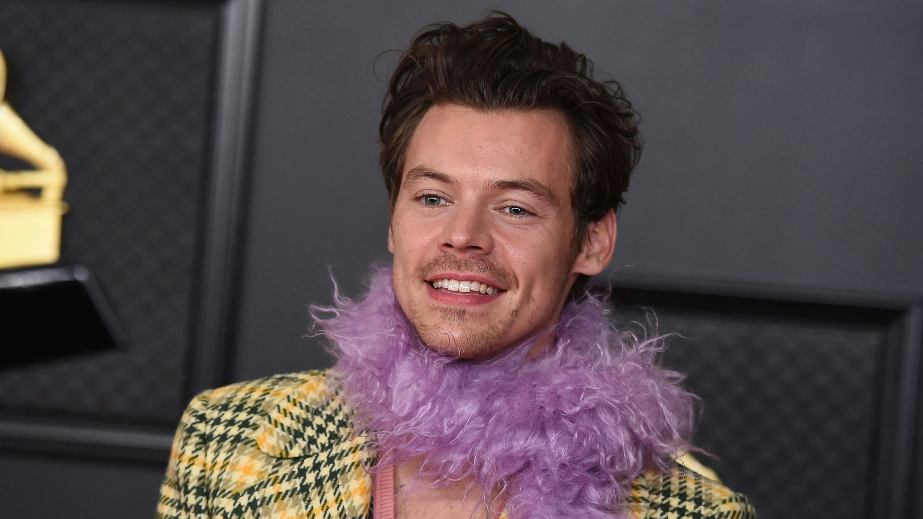 Download von www.picturedesk.com am 01.04.2022 (19:50).  FILE - In this Sunday, March 14, 2021, file photo, Harry Styles poses in the press room at the 63rd annual Grammy Awards at the Los Angeles Convention Center. Styles will hit the road on a U.S. tour this fall, with 40 concerts scheduled in such cities as New York City, Denver, Dallas, Detroit, Chicago, Atlanta, Boston and Los Angeles. âßLove On Tourâß kicks off on Sept. 4, 2021, in Las Vegas and will include five dates in New York City at Madison Square Garden. (Photo by Jordan Strauss/Invision/AP, File) - 20210315_PD11208 - Rechteinfo: Rights Managed (RM)