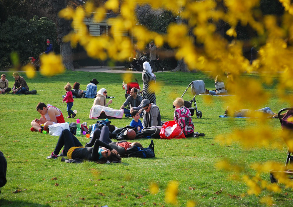 Forsythien-Blüte und Sonnenschein – bald wird es wieder warm!