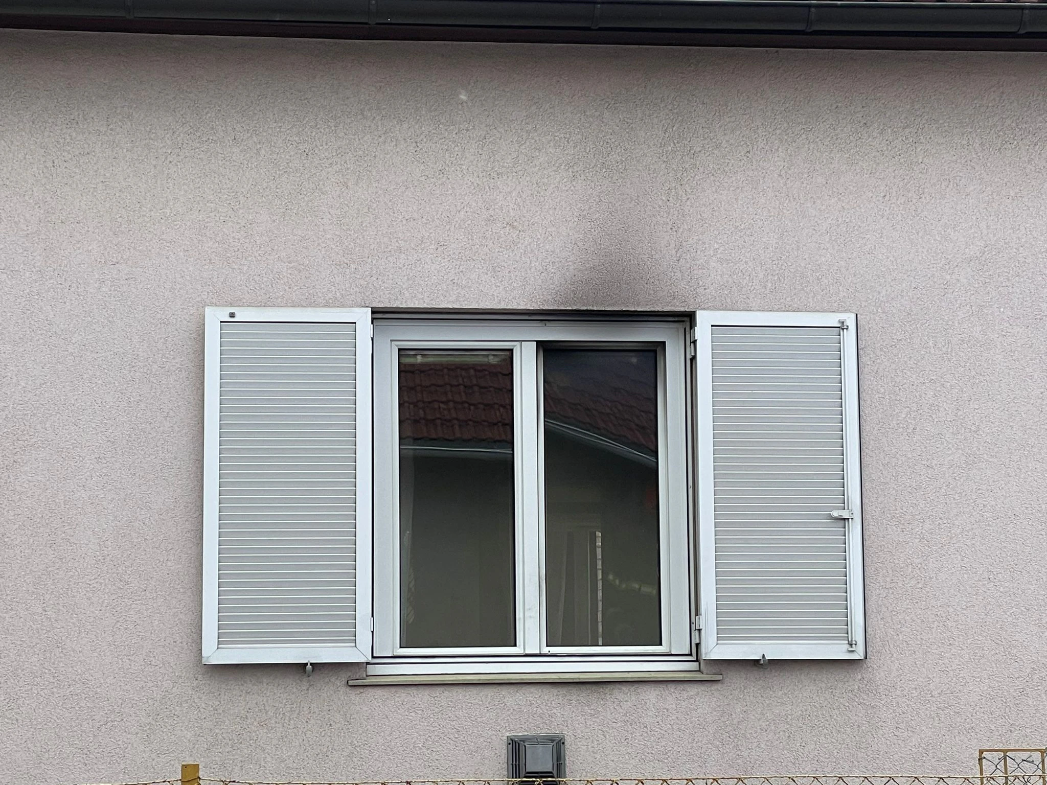 Die bewusstlose Frau und ihr Hund konnten gerettet werden.