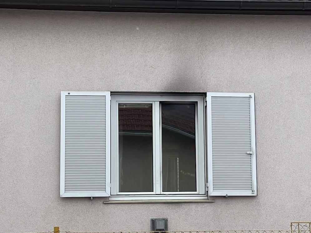 Die bewusstlose Frau und ihr Hund konnten gerettet werden.