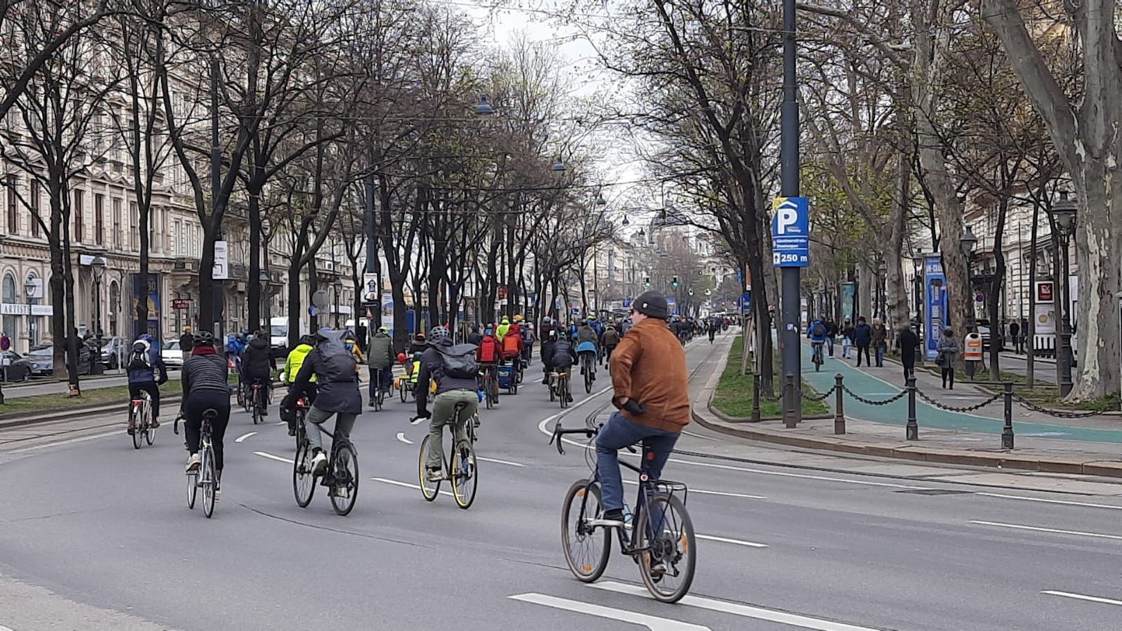 Tausende klimafreundliche Radfahrer ließen für eine Parade die Ringstraße sperren.