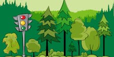 Baumartenampel für einen nachhaltig gesunden Wald