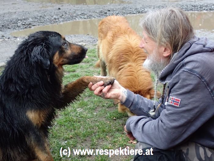 Eindrücke vom Hilfseinsatz in der Ukraine