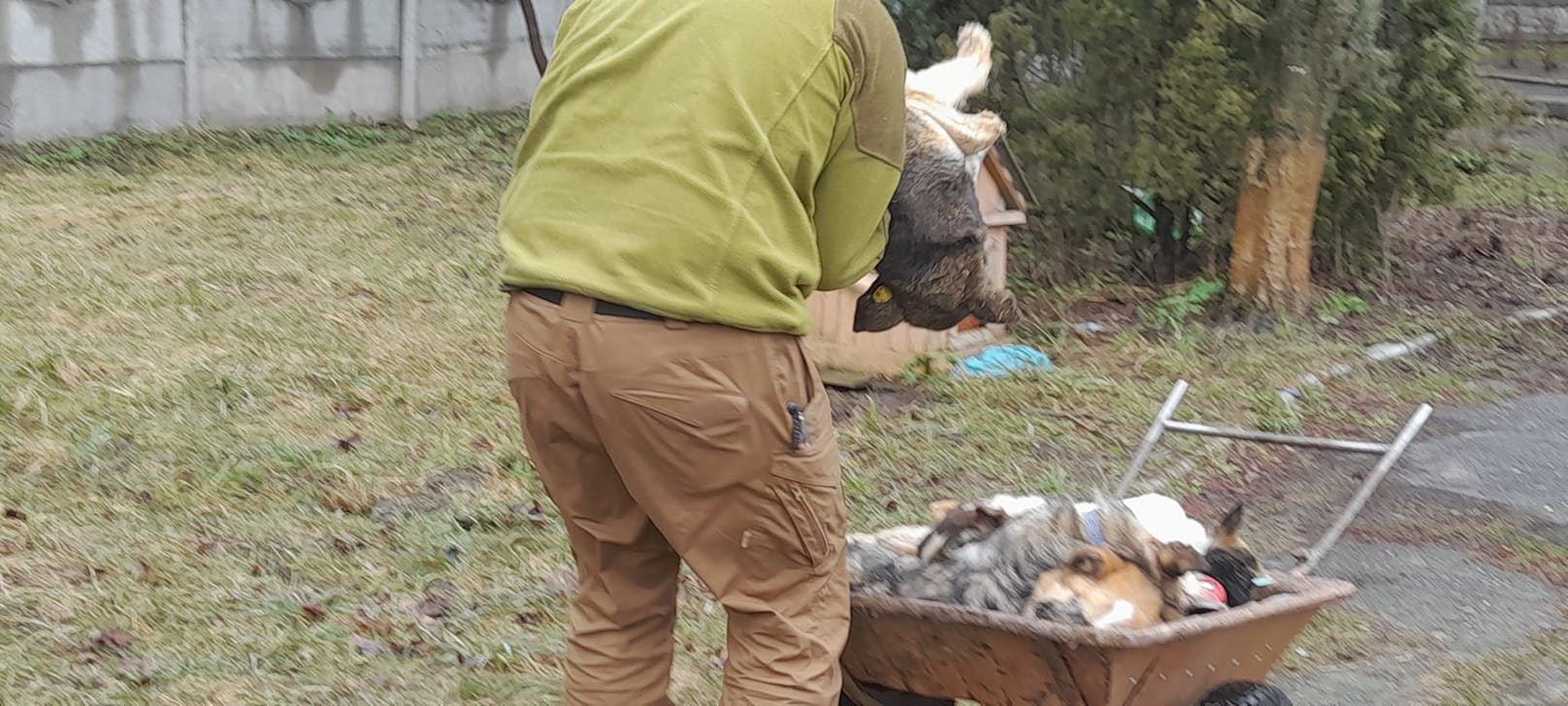 "Auf etwas Derartiges kann man sich innerlich nicht vorbereiten," schreibt Marc von der Tierschutzorganisation "Have a Heart Equine Sanctuary" auf Facebook.