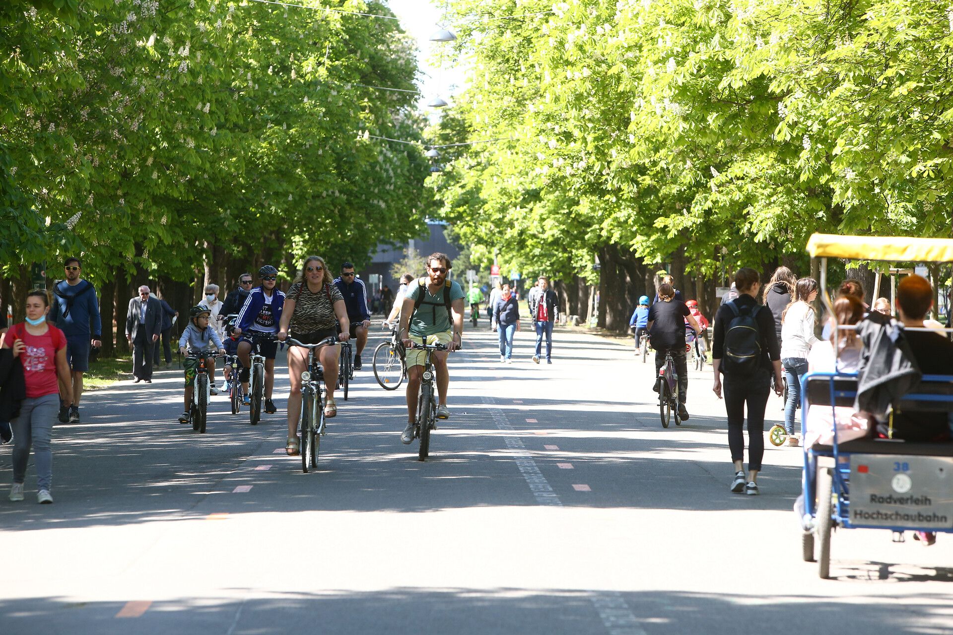 Die Prater Hauptallee in Wien erhält jetzt eine neue Auszeichnung.