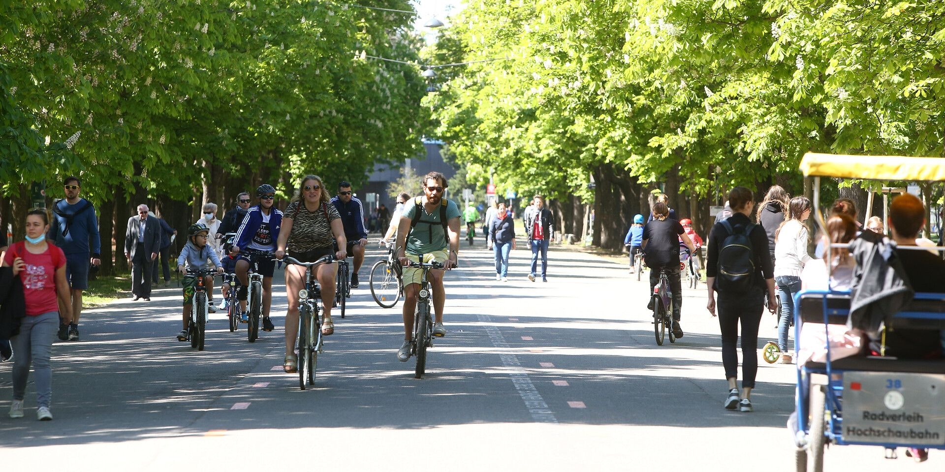 Die Prater Hauptallee in Wien erhält jetzt eine neue Auszeichnung.