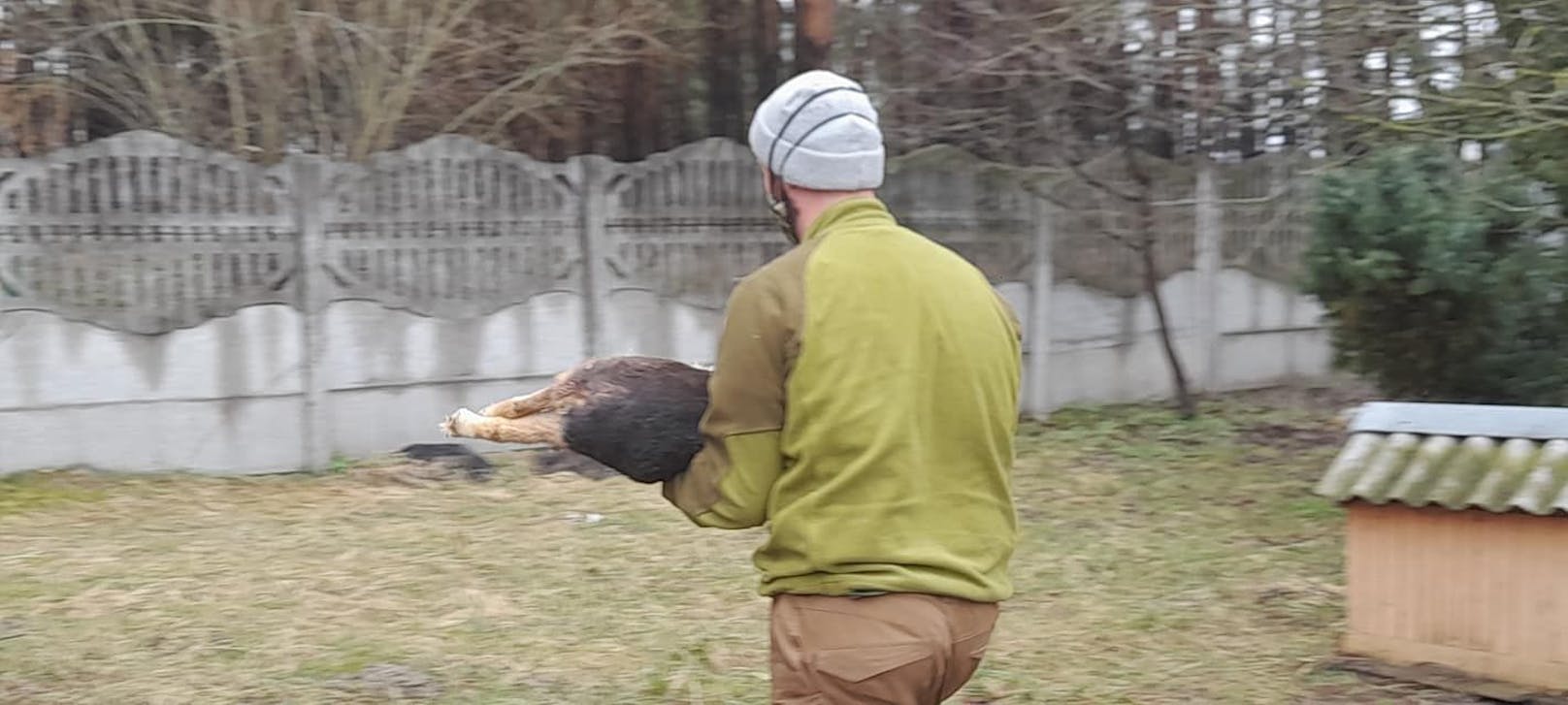 Nachdem die russischen Streitkräfte die Gegend um Kiew massiv besetzt hielten, konnte bis zum Wochenende auch niemand in das Tierheim von Borodyanka vordringen.