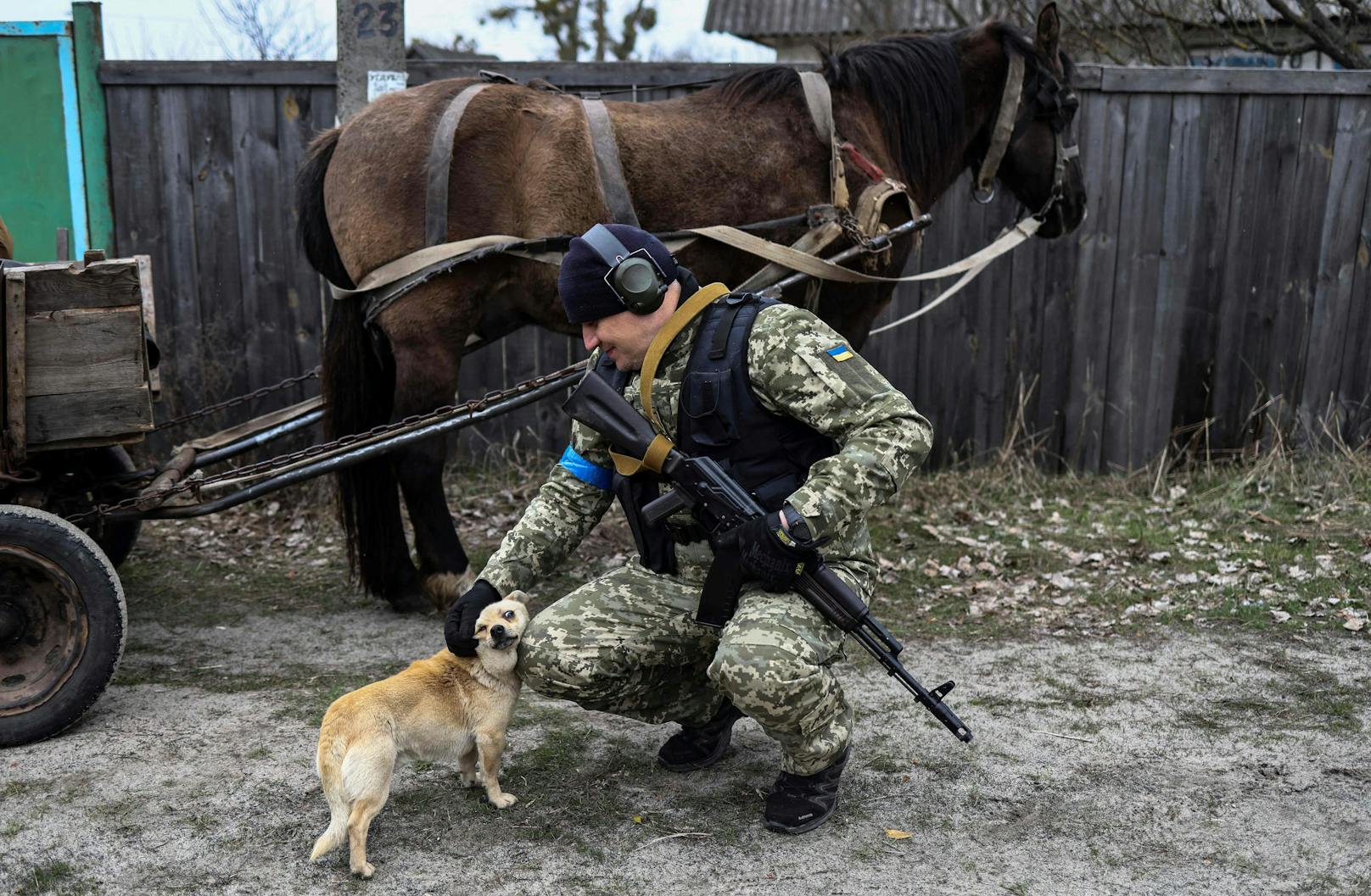 Tag 42 im Ukraine-Krieg! Nach dem Bekanntwerden der Gräueltaten in Butscha wächst der Druck auf Russland und Putin.