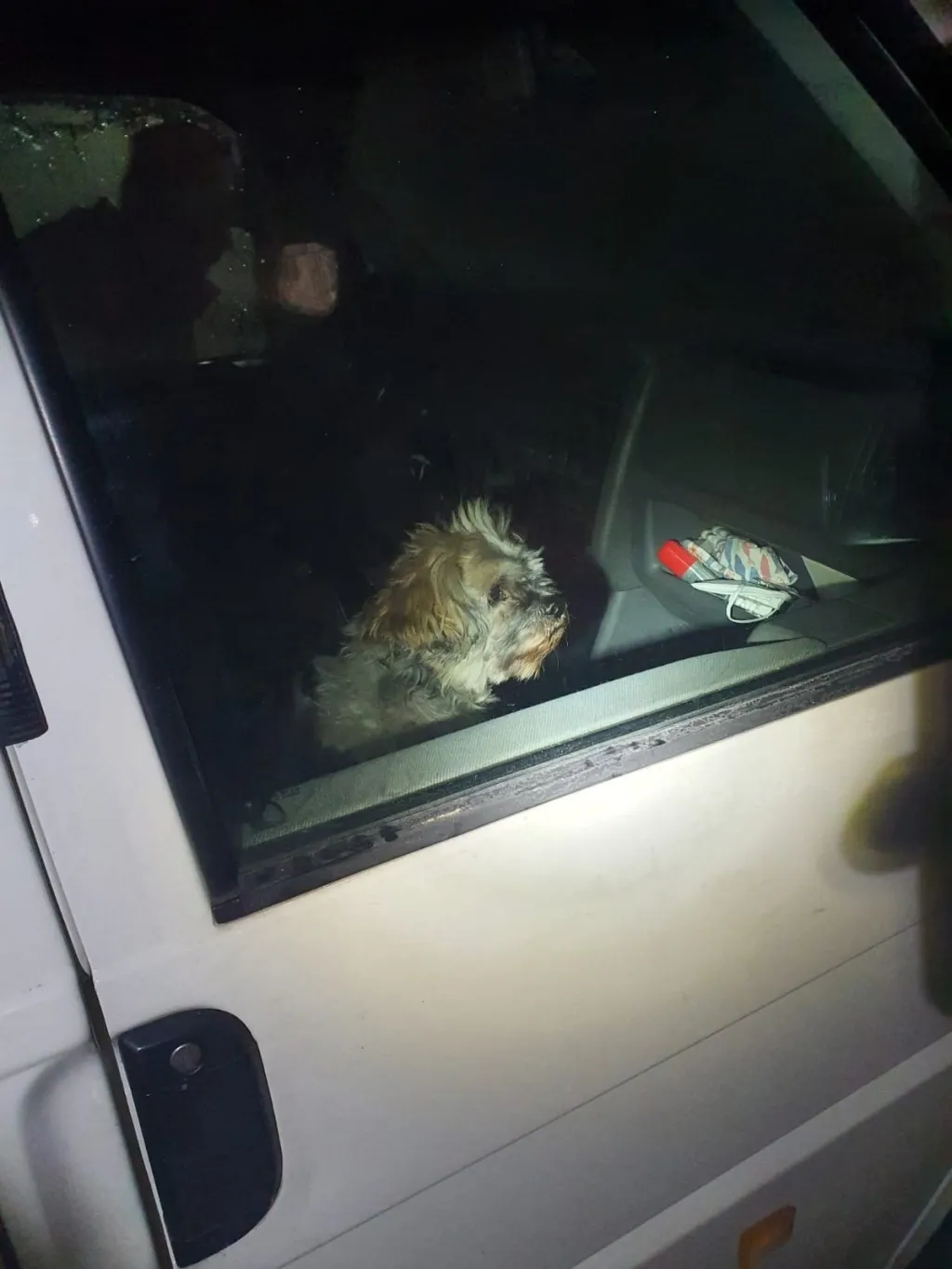 Die Feuerwehr befreite das Hündchen.