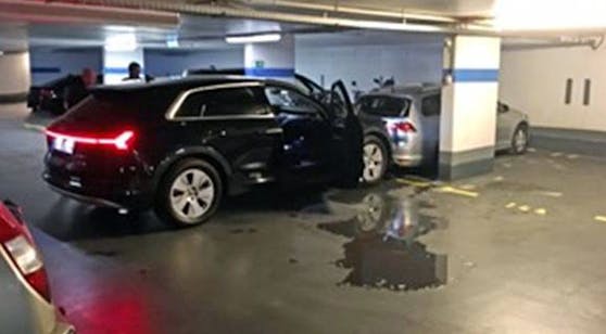 Der Chauffeur von Vizekanzler Werner Kogler crashte in einer Wiener Garage gegen einen Pkw.&nbsp;