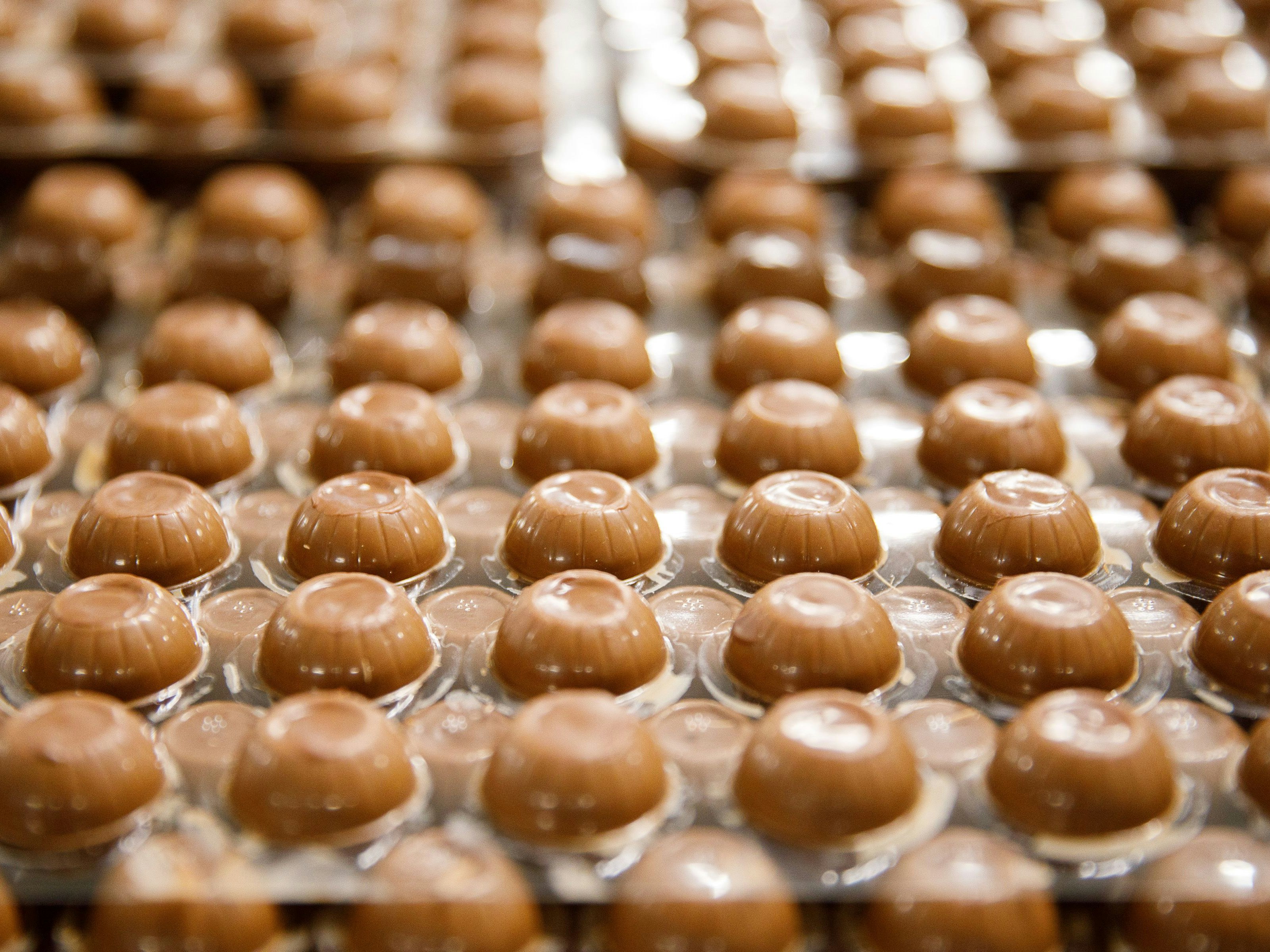 Besonderes Zuckerl der neuen Ausbildung: Süße Erzeugnisse müssen verkostet werden.