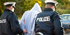 Opfer erkannte Schläger-Trio in Wiener Park wieder