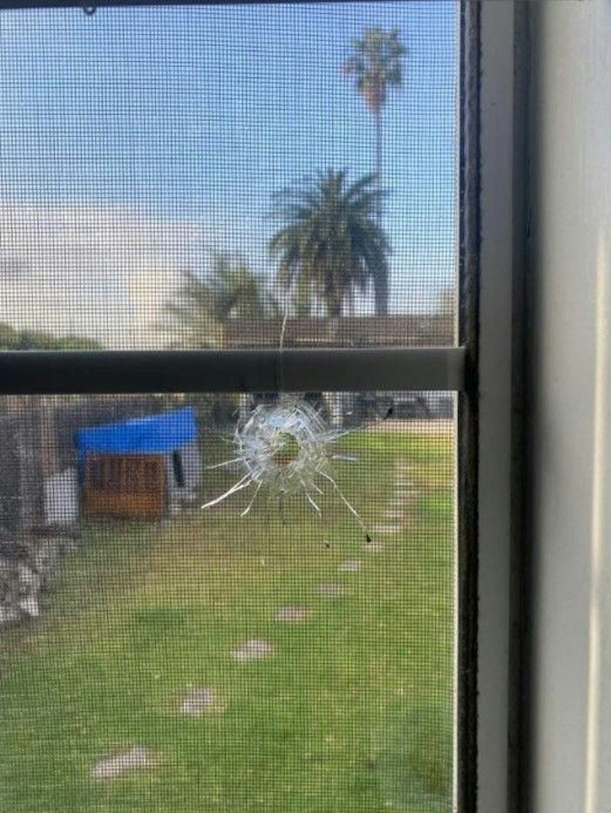 Der Querschläger durchbohrte das Fenster direkt.
