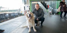 Große Trauer bei Rudi Anschober – Hund Agur gestorben
