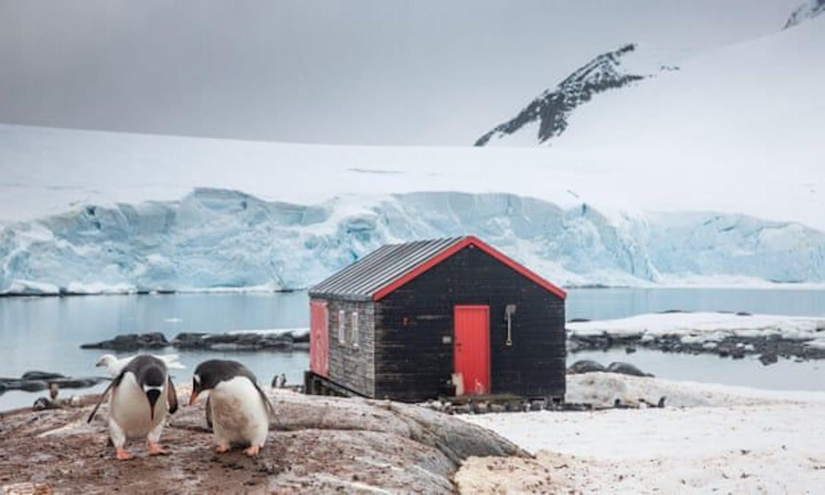 Wer die Einsamkeit nicht scheut und Kälte verträgt, könnte mit dieser Stelle glücklich werden: Eine britische Stiftung sucht Personen, die in der Station Port Lockroy in der Antarktis ein Postbüro führen und Pinguine zählen.