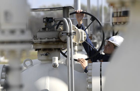 Dreht Österreich – oder Putin – das Gas ab, kommt es zur Katastrophe, sagt der Experte.