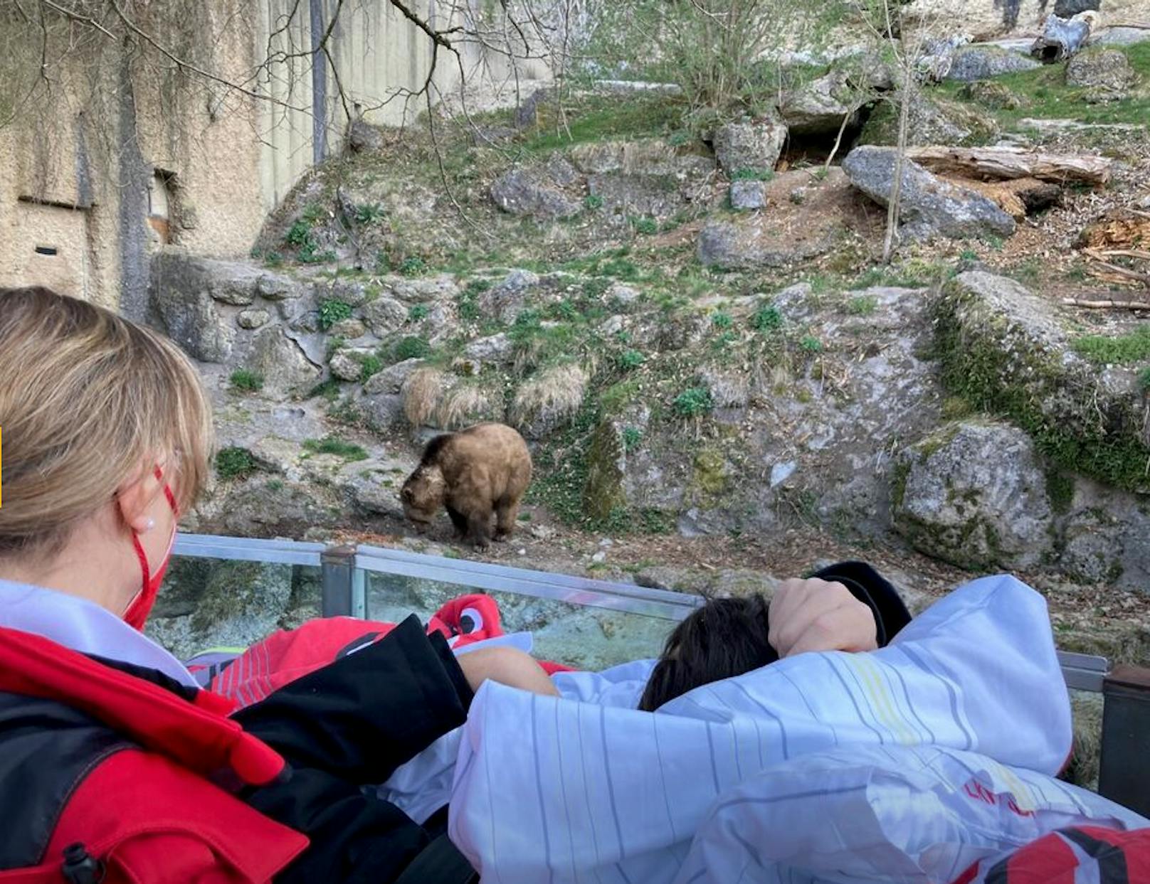 Erich liegt auf der Lungenpalliativstation und wollte noch einmal die Tiere im Zoo sehen.