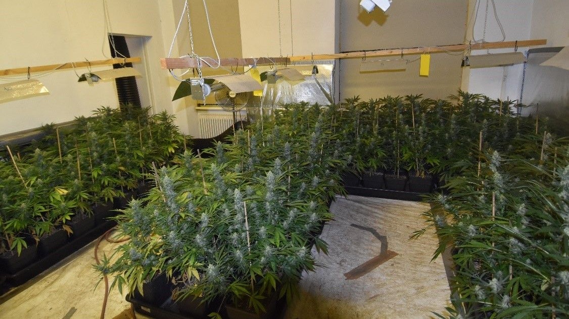 In einer Wohnung in Wien-Hernals wurden die Beamten schließlich fündig.