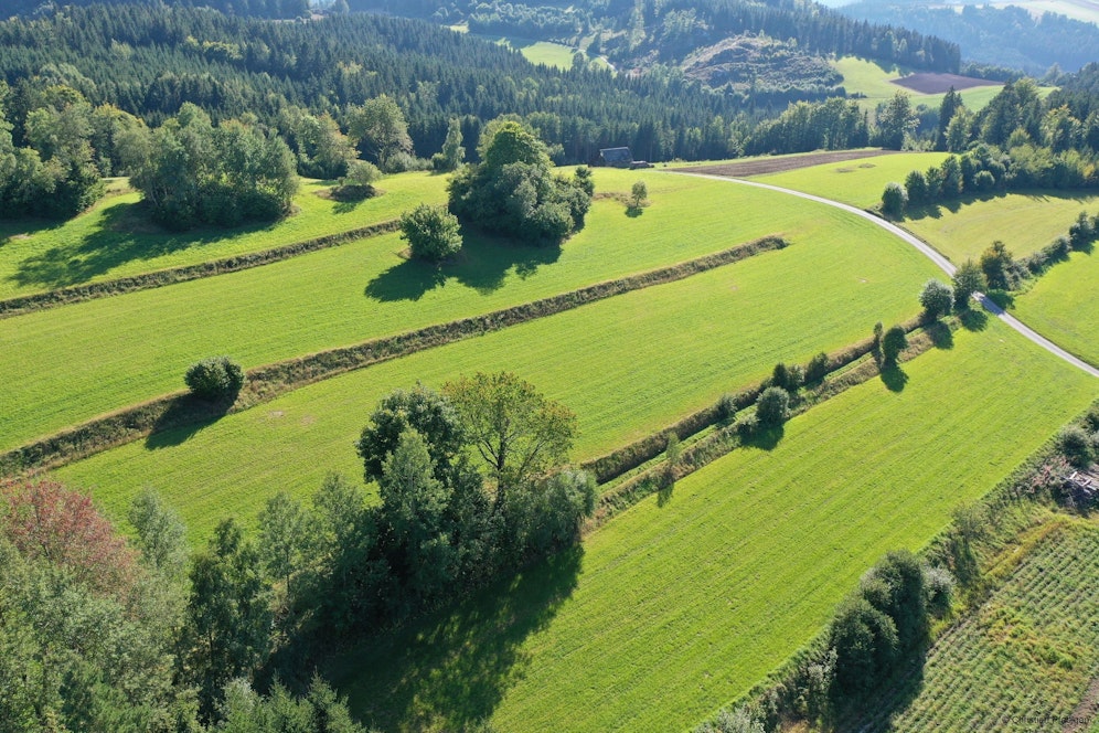 Eine Welt, die deinen Namen trägt: Das Projekt der Kleinregion Waldviertler Kernland verfolgt das Ziel, die verschiedenen Landschaftselemente im landwirtschaftlichen Kontext zu erhalten.