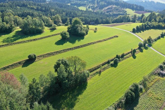 "Eine Welt, die deinen Namen trägt": Das Projekt der Kleinregion Waldviertler Kernland verfolgt das Ziel, die verschiedenen Landschaftselemente im landwirtschaftlichen Kontext zu erhalten.