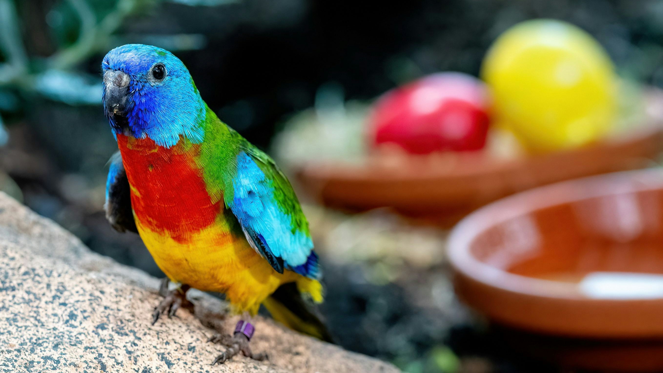 Das Haus des Meeres lädt zur Osterexpediton! 