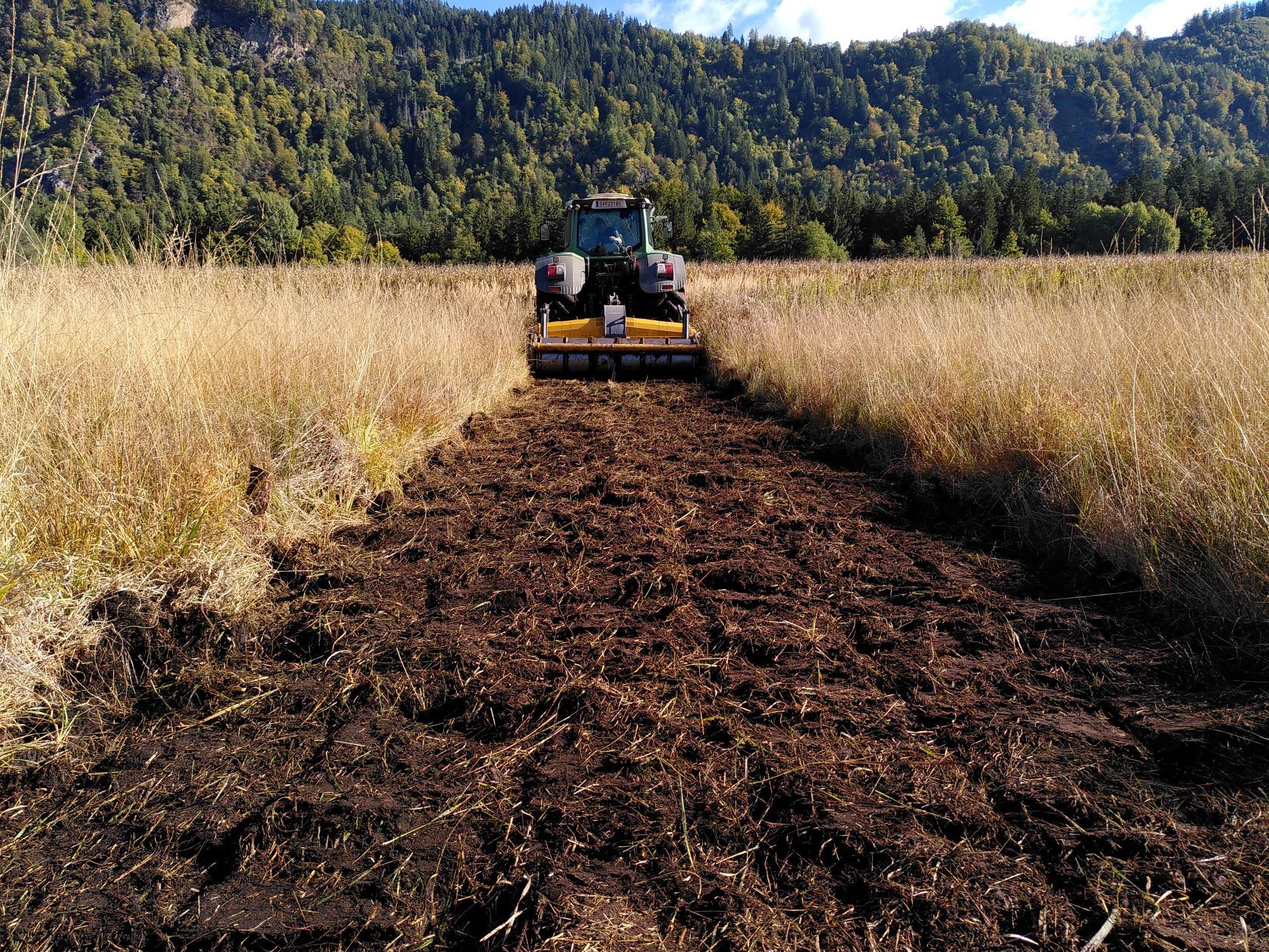 Moorschutz ist Klimaschutz