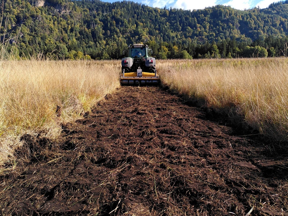 Klar definiertes Ziel des KEM-Projekts war die Umsetzung von Erhaltungsmaßnahmen: Es sind österreichweit nur noch 1% der ursprünglichen Moorfläche intakt!