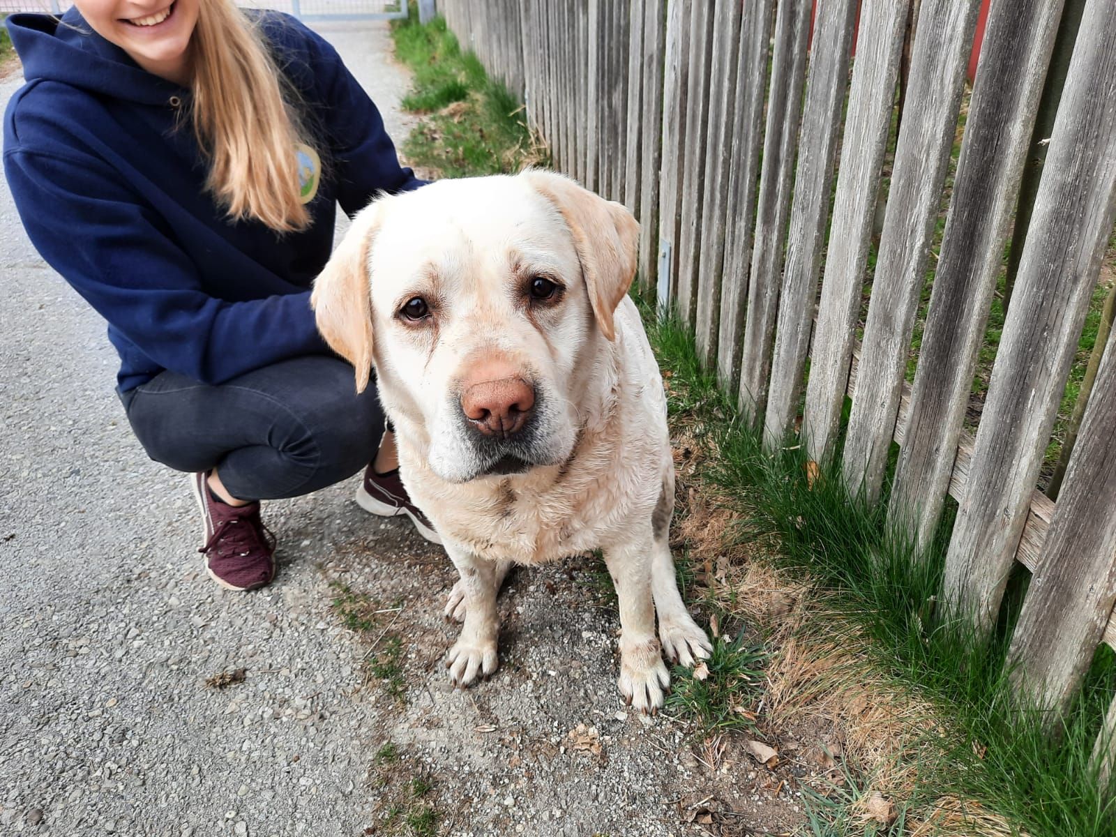 Wer gibt diesen treuen Augen eine Chance auf lebenslanges Glück? 