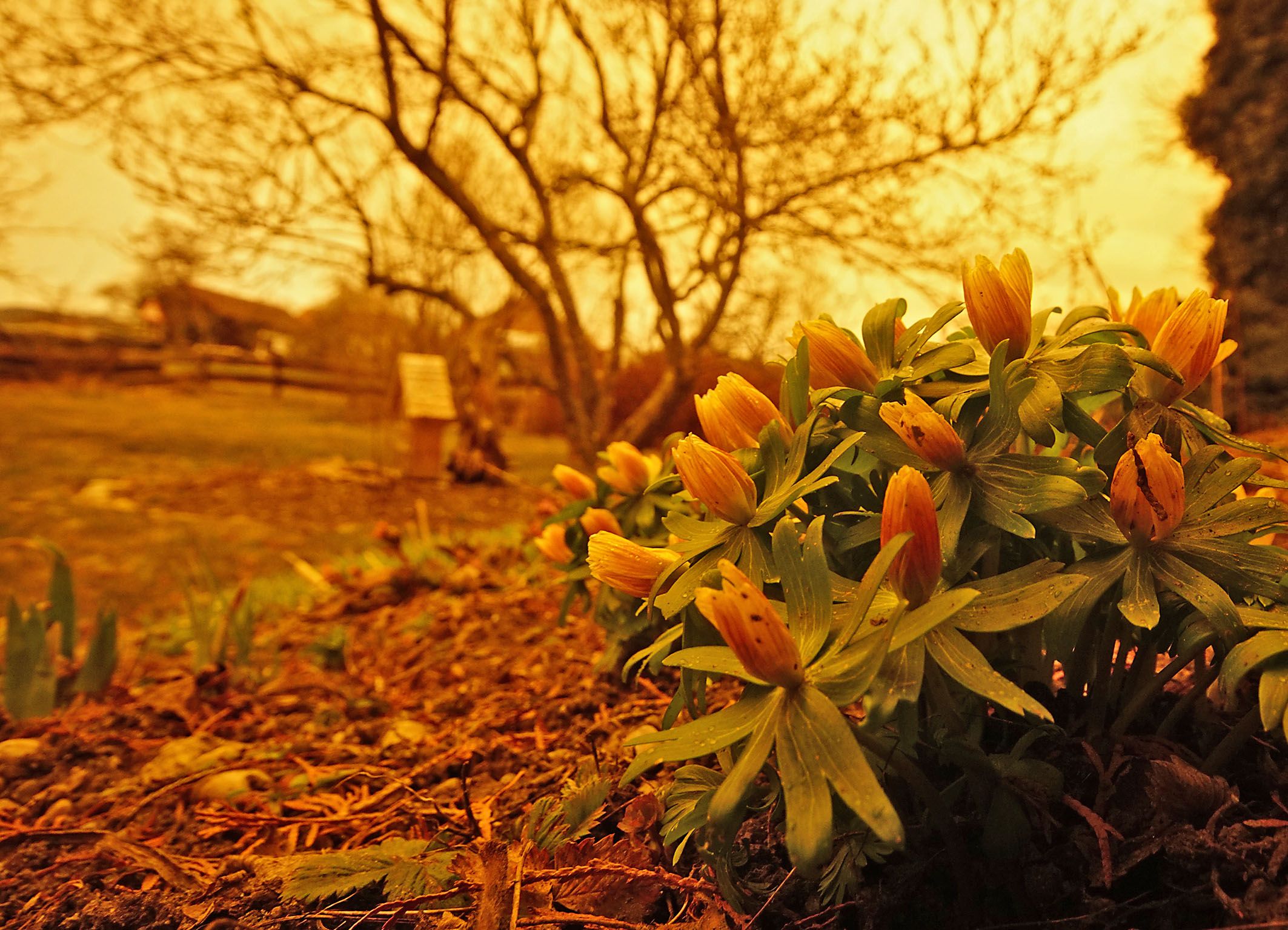 Österreich wird wieder von Saharastaub erfasst, am Donnerstag kommt es zu Blutregen.